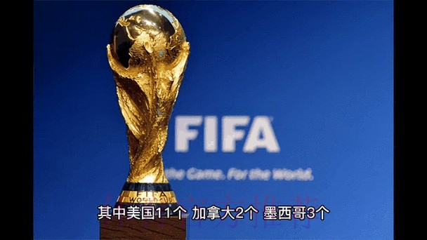 2026世界杯最新比分动态分析